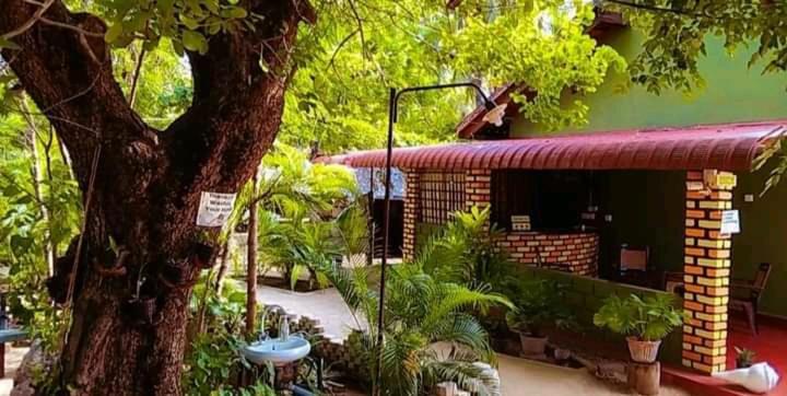 Naaval Beach Villa & Rooms バッティカロア エクステリア 写真
