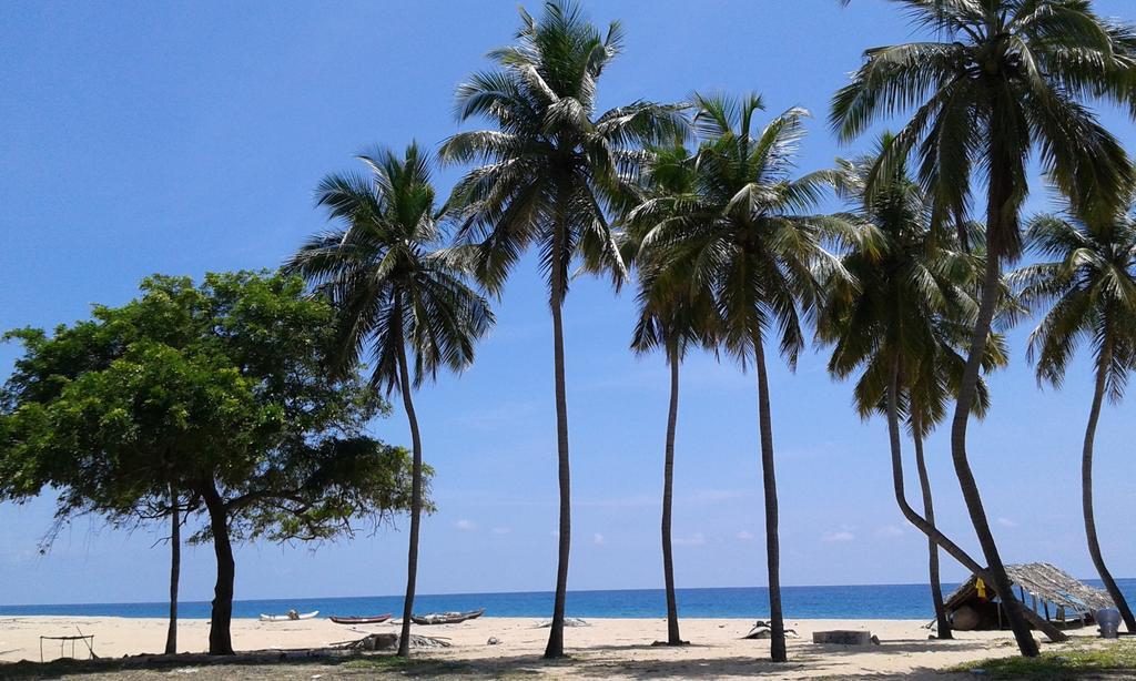 Naaval Beach Villa & Rooms バッティカロア 部屋 写真